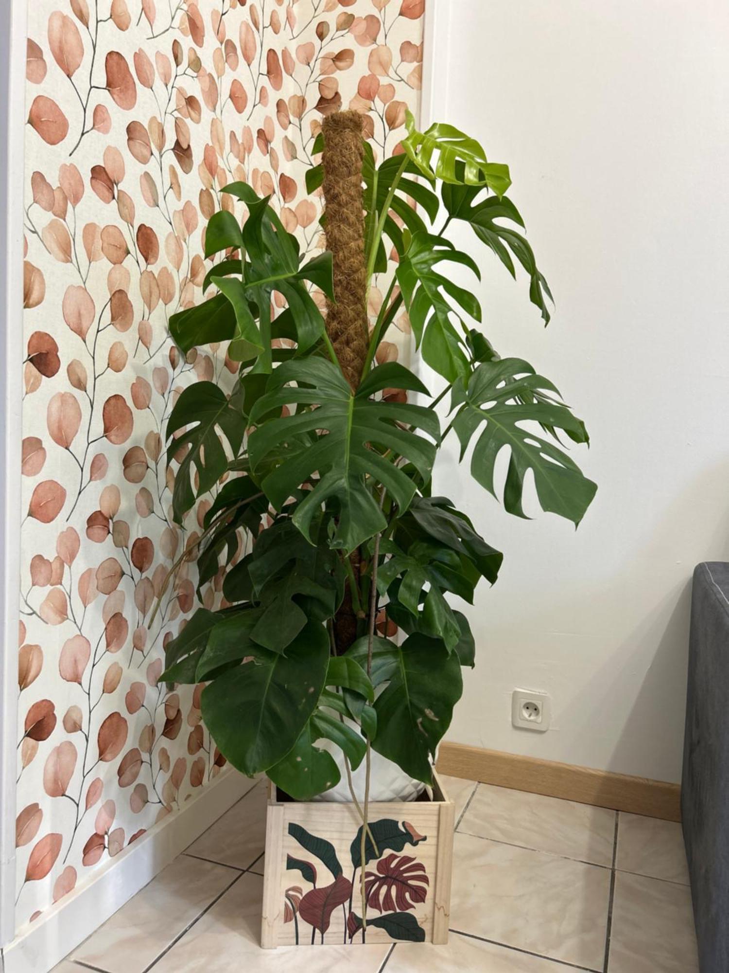 Home Lyla Dijon Zewnętrze zdjęcie